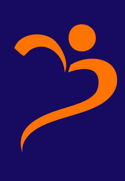BMSI logo.